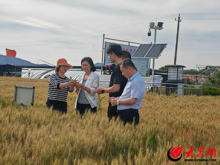 科学施肥有技巧粮食安全有保障——青岛西海岸新区农业农村局举办2024年科学施肥技术培训班(图4)