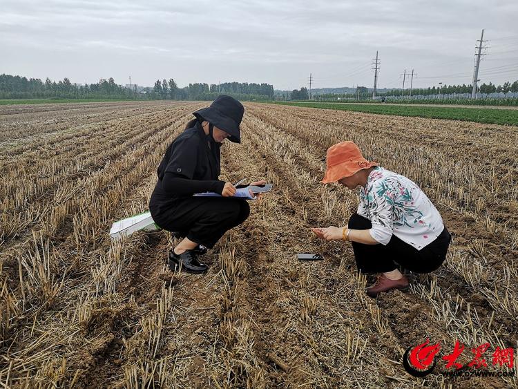 科学施肥有技巧粮食安全有保障——青岛西海岸新区农业农村局举办2024年科学施肥技术培训班(图2)